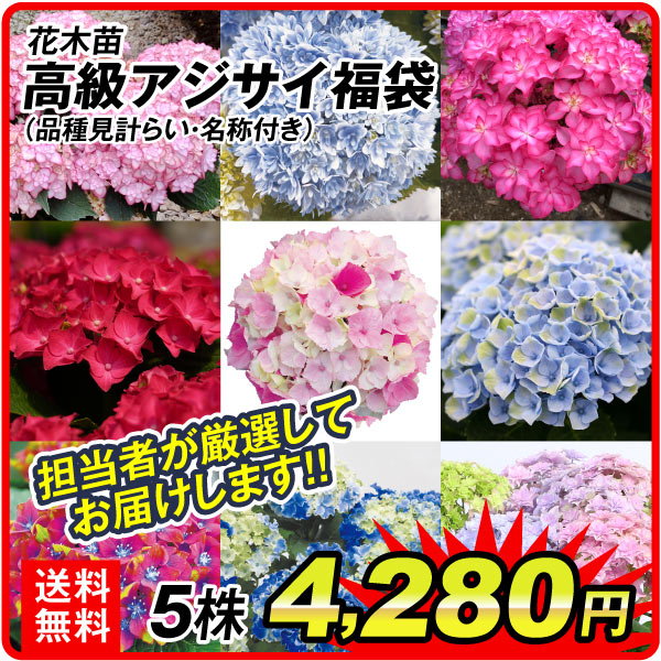 国華園オンラインショップ / 26年6月 5％クーポンセール対象商品