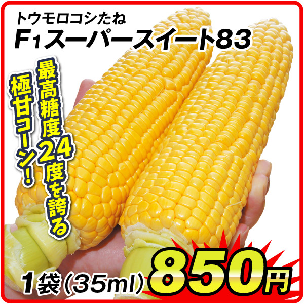野菜タネ