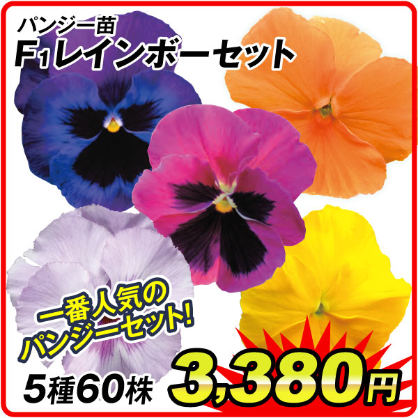 花苗