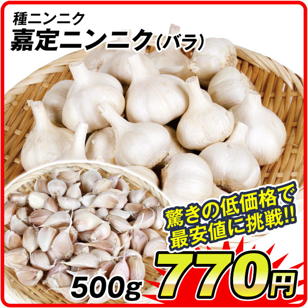 国華園オンラインショップ / 26年7月 5％クーポンセール対象商品