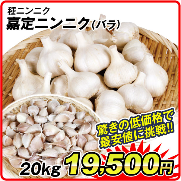 国華園オンラインショップ / 26年6月 5％クーポンセール対象商品