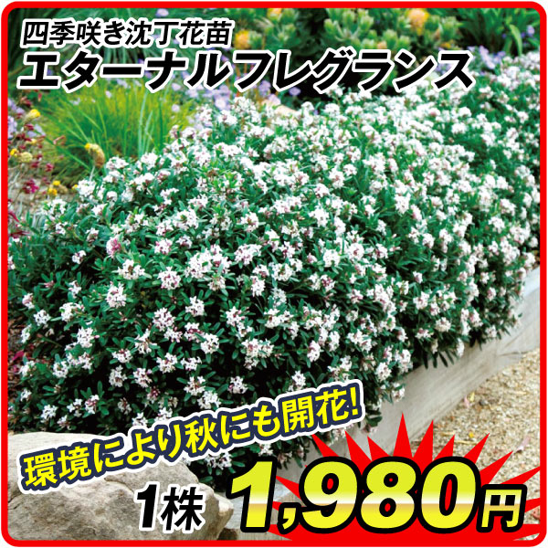 花木