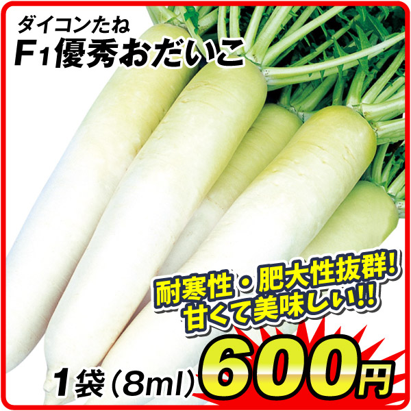 野菜種