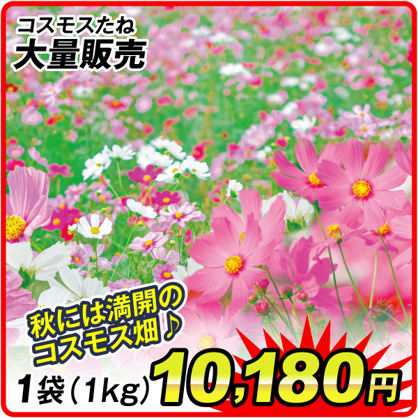 花たね