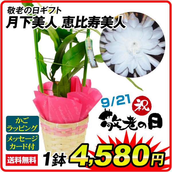 敬老