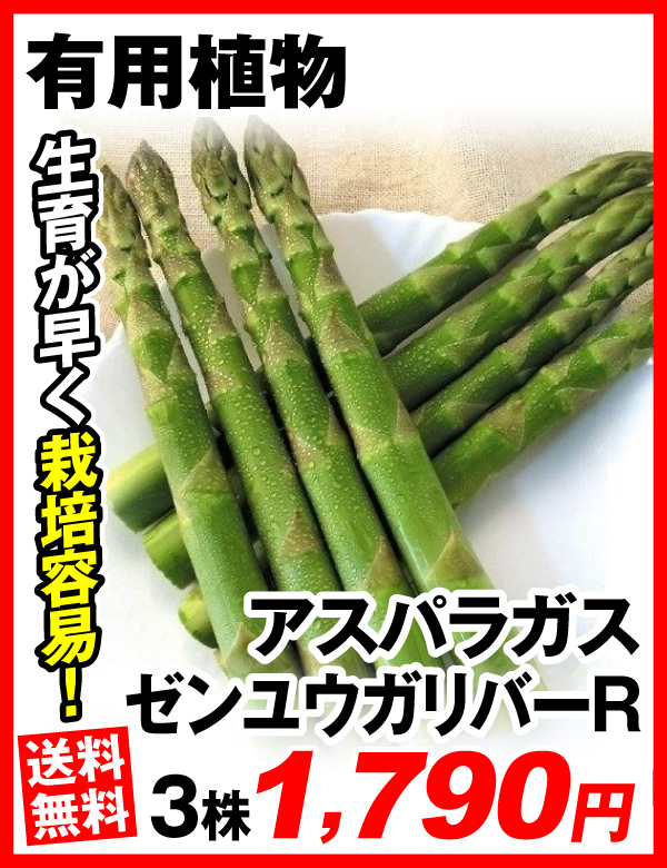 アスパラガス