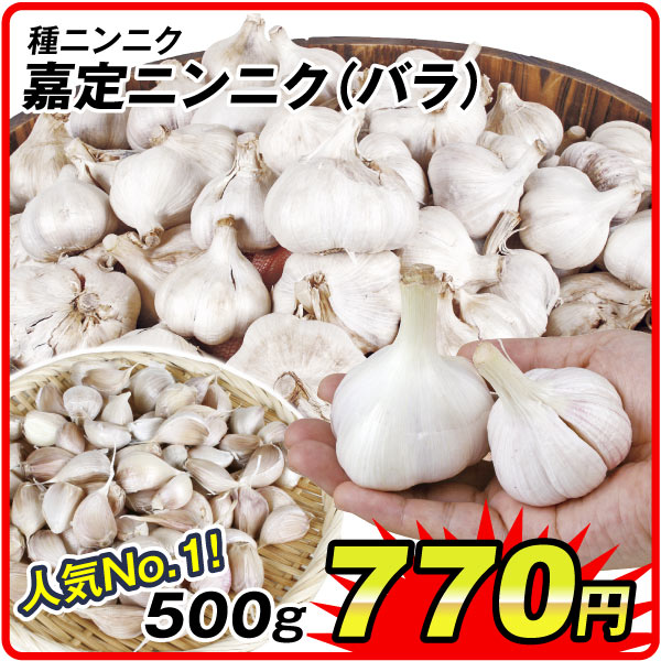 種ニンニク嘉定バラ500g
