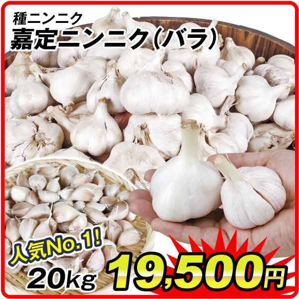 種ニンニク嘉定バラ