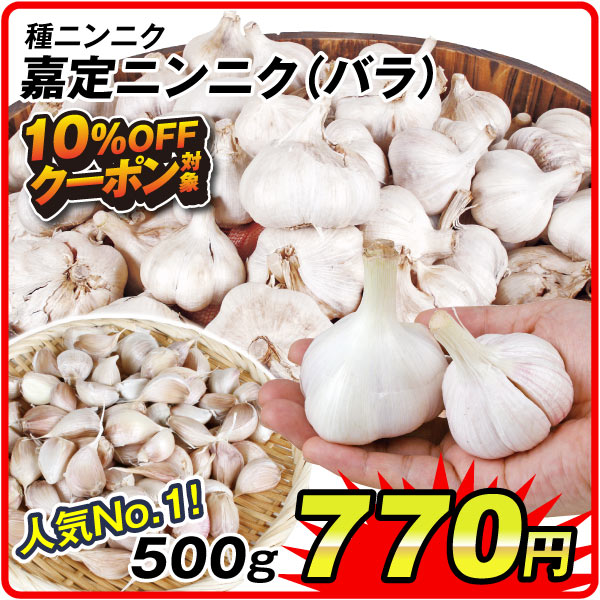 嘉定ニンニク(バラ)