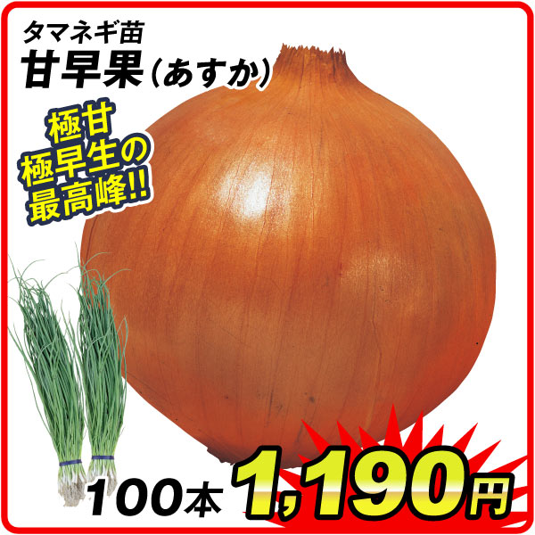 甘早果