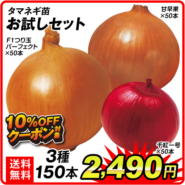 玉葱苗お試しセット