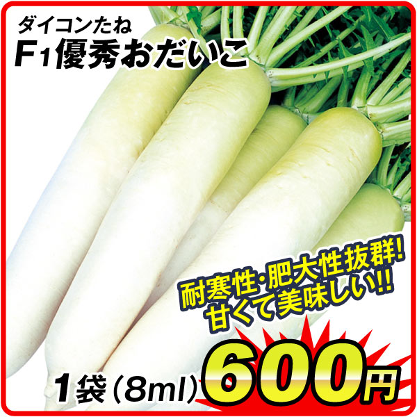 優秀おだいこ