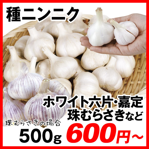 緑肥作物