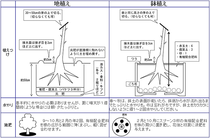 参照図