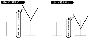 参照図