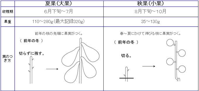 参照図