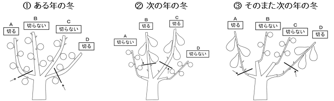 参照図