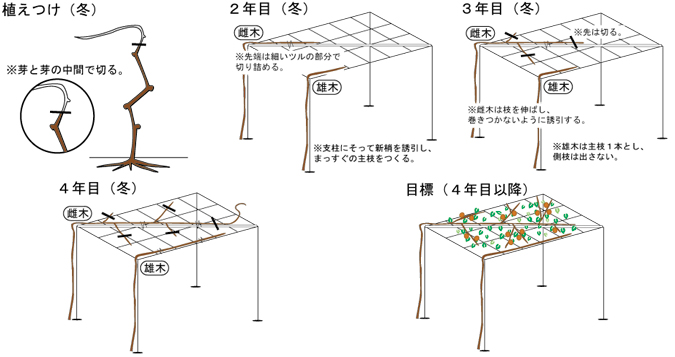 参照図