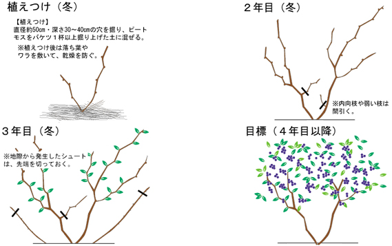 参照図