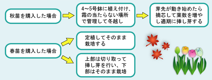 参照図